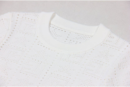 Pattern Knit Crop Sweater Top